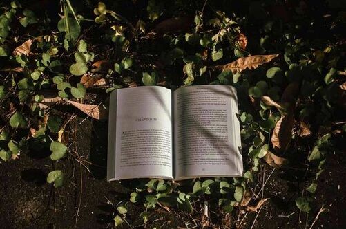 历年研究生考试国家线，考研历年国家线一览表