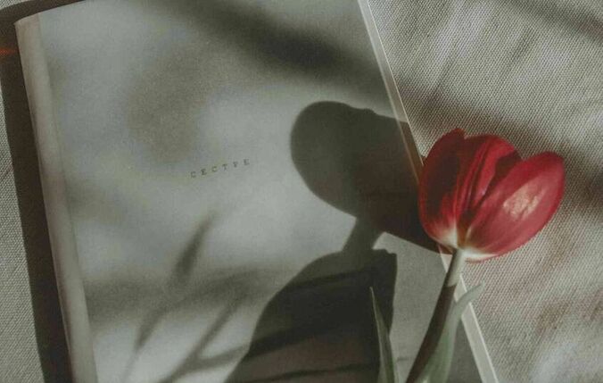 全国研究生国家分数线？考国家线就是研究生分数线吗